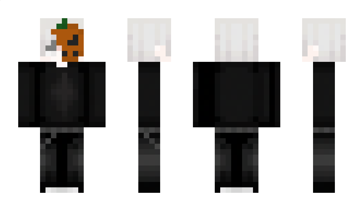 tomek2331 Minecraft Skin