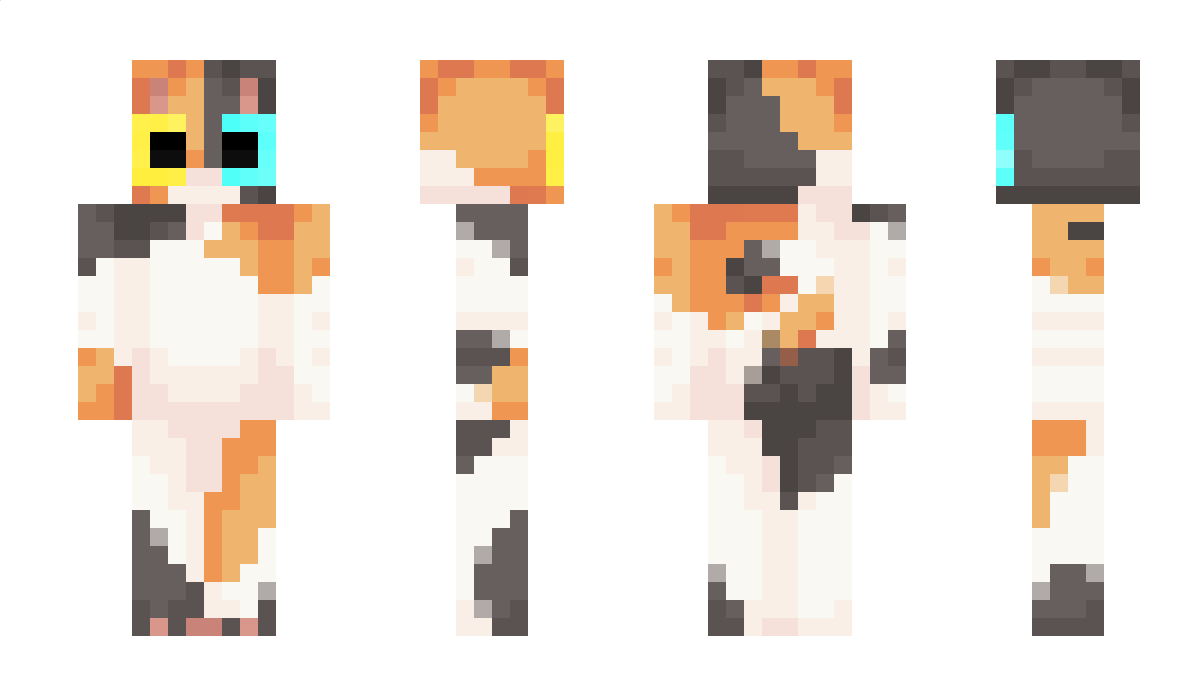 Fluffy_Invader Minecraft Skin