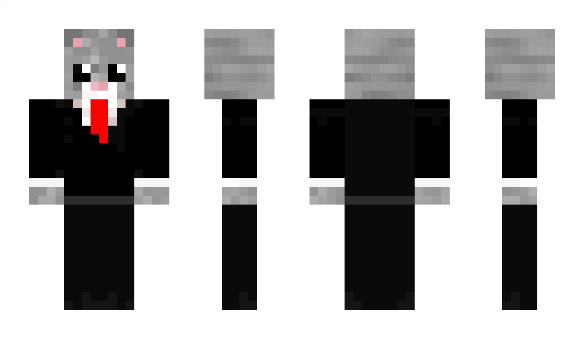 tomcat24 Minecraft Skin