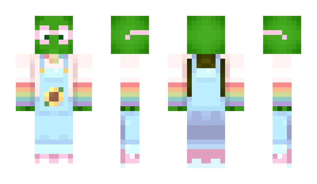 TheTurtle_Gamer Minecraft Skin