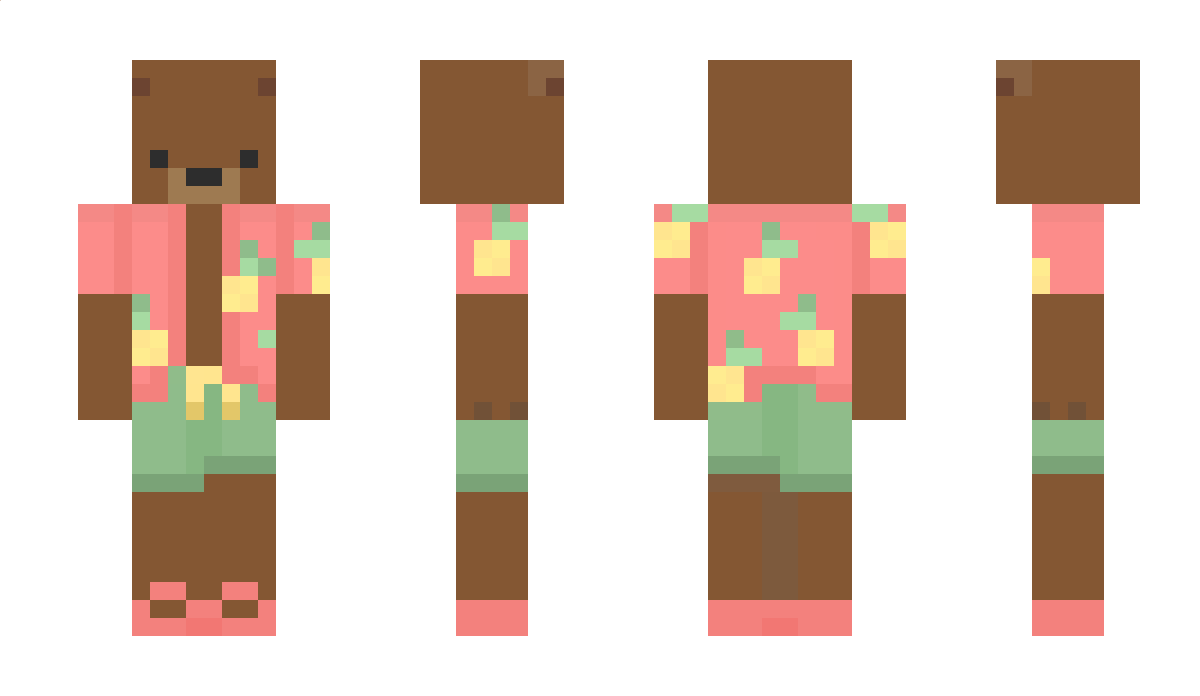 V1s1 Minecraft Skin