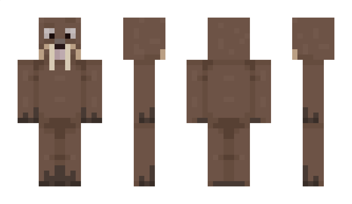 TimiBoy6918267 Minecraft Skin