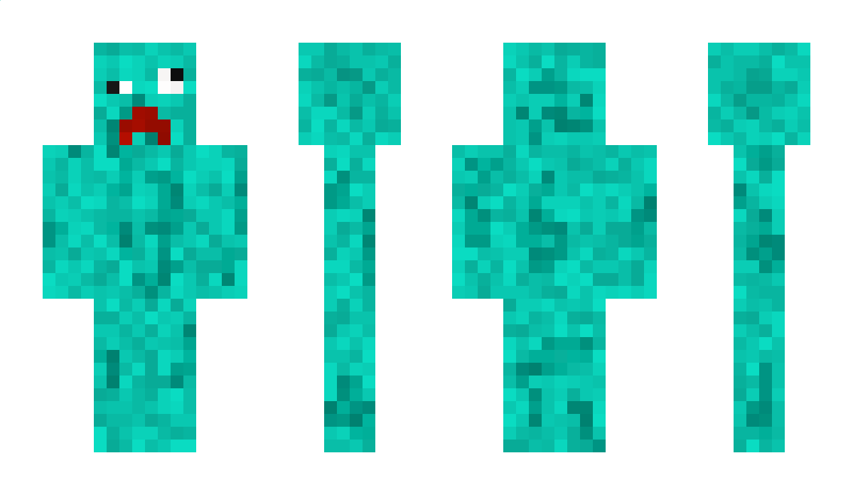 bubulotu13332 Minecraft Skin