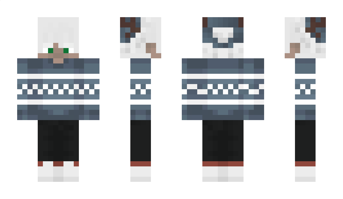 xFr0stt_ Minecraft Skin