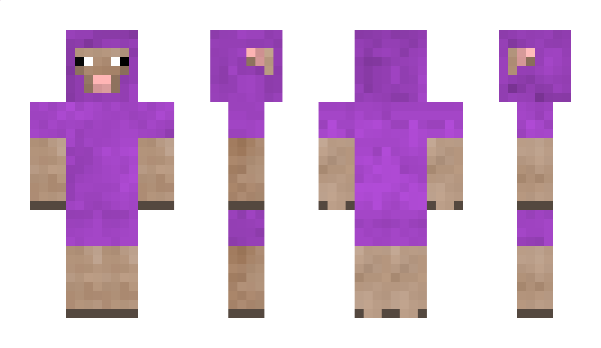 Winner239 Minecraft Skin