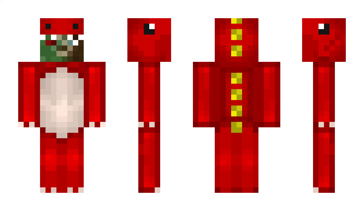 borderboy Minecraft Skin