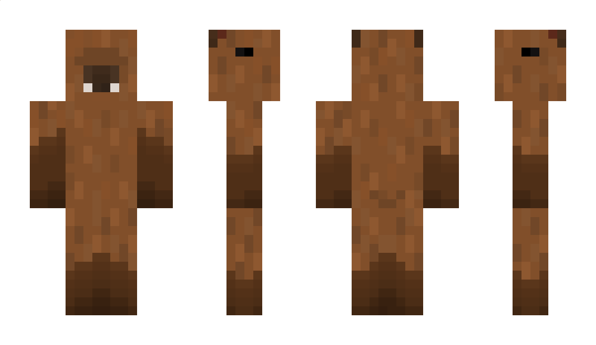 Axetrotl1 Minecraft Skin