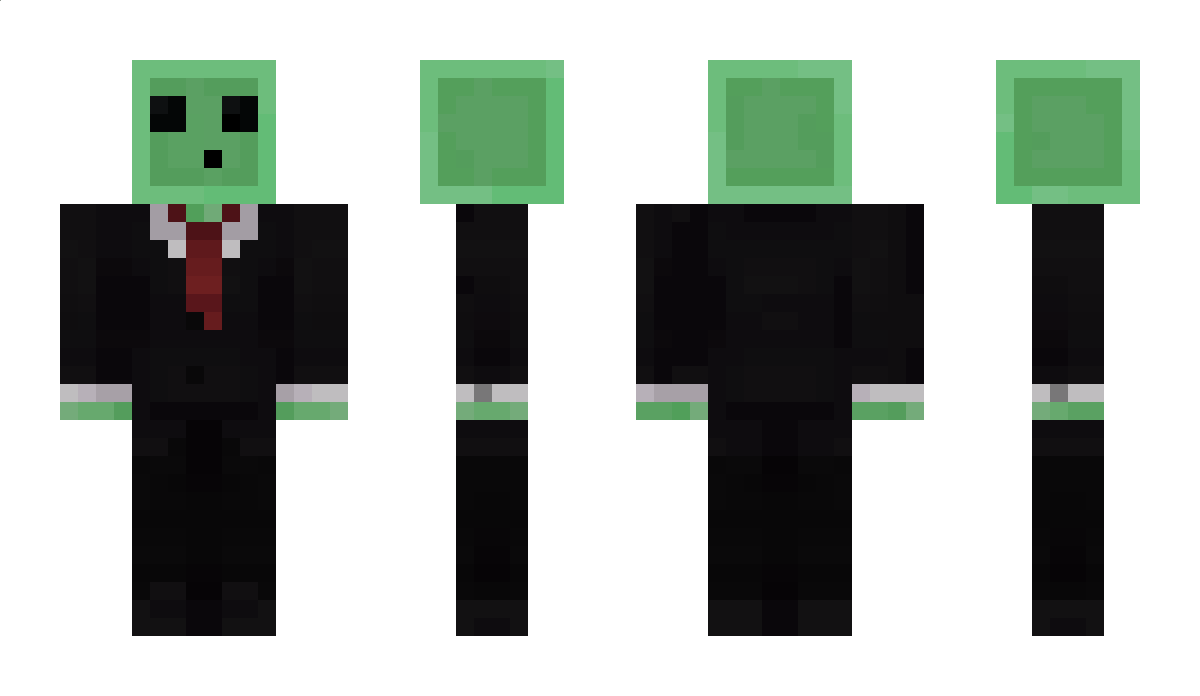 Meisterdruide Minecraft Skin