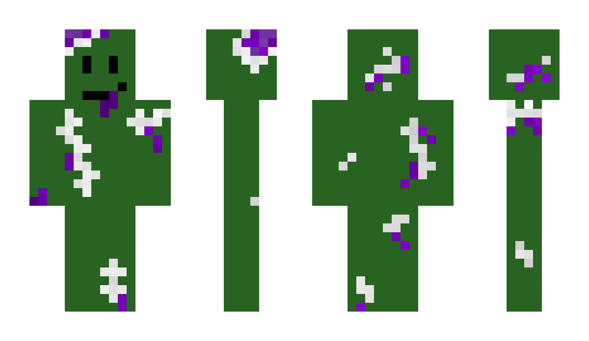 Zomgoop Minecraft Skin