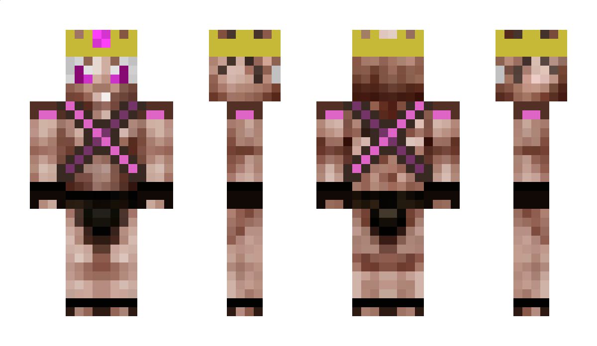 Zevenhuis Minecraft Skin