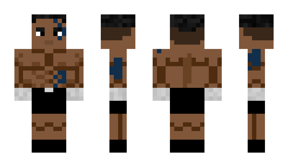 Birdmannx Minecraft Skin