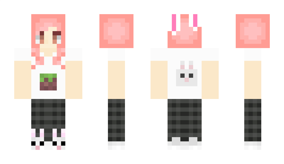 Hebi_VN Minecraft Skin