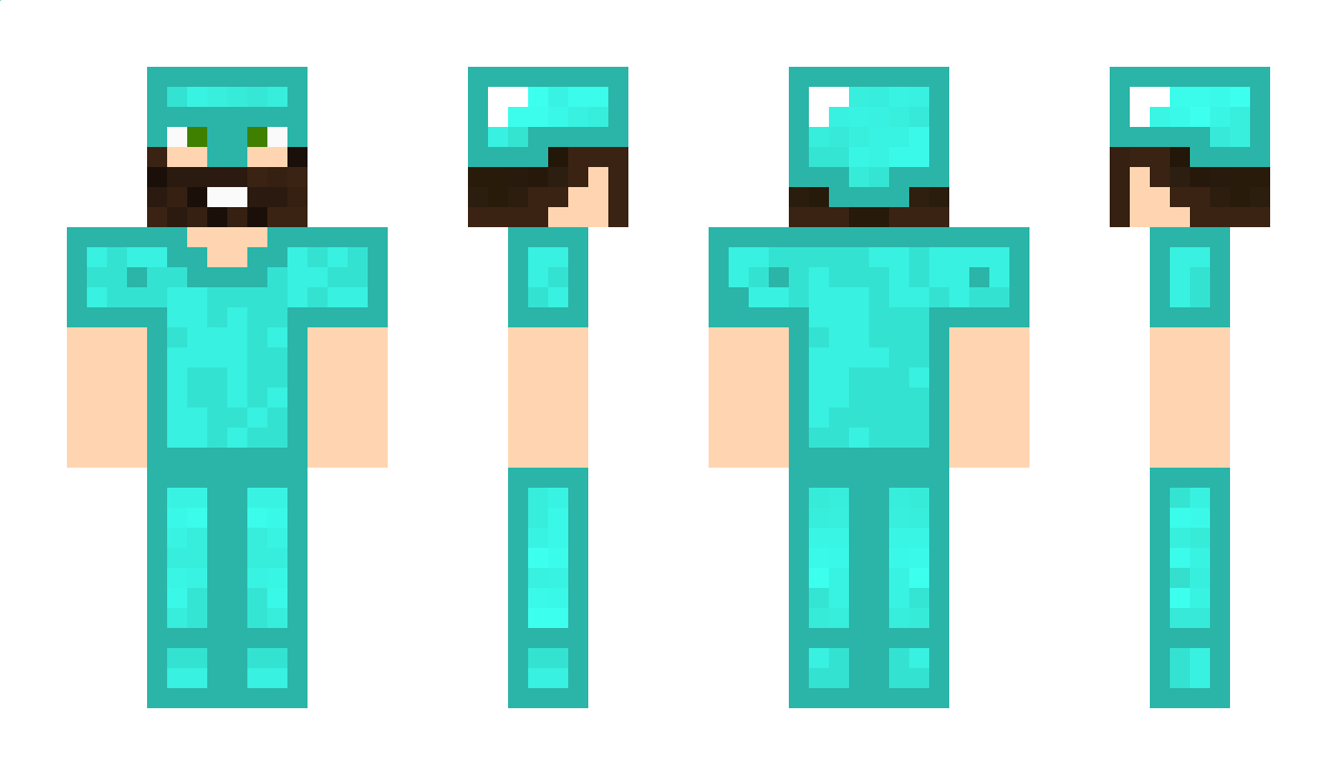 BookBlocks Minecraft Skin