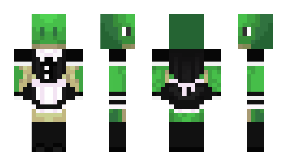 ATurtle123 Minecraft Skin