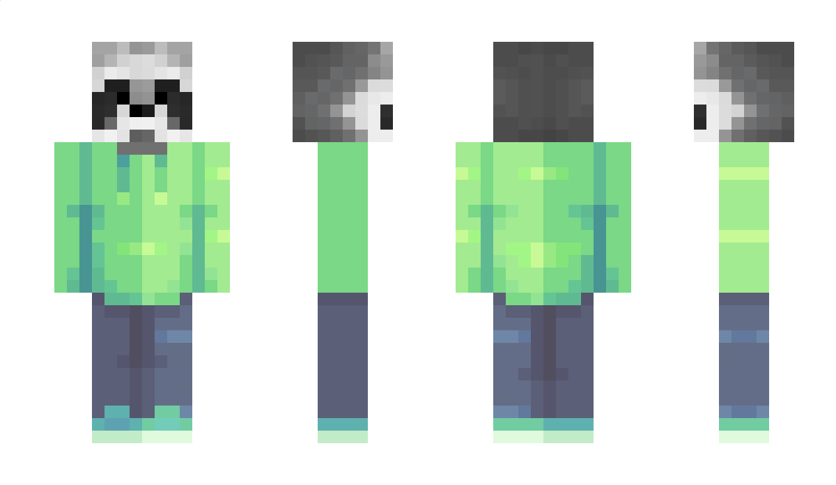 Webster85 Minecraft Skin