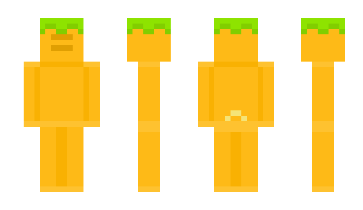 Carroter4 Minecraft Skin