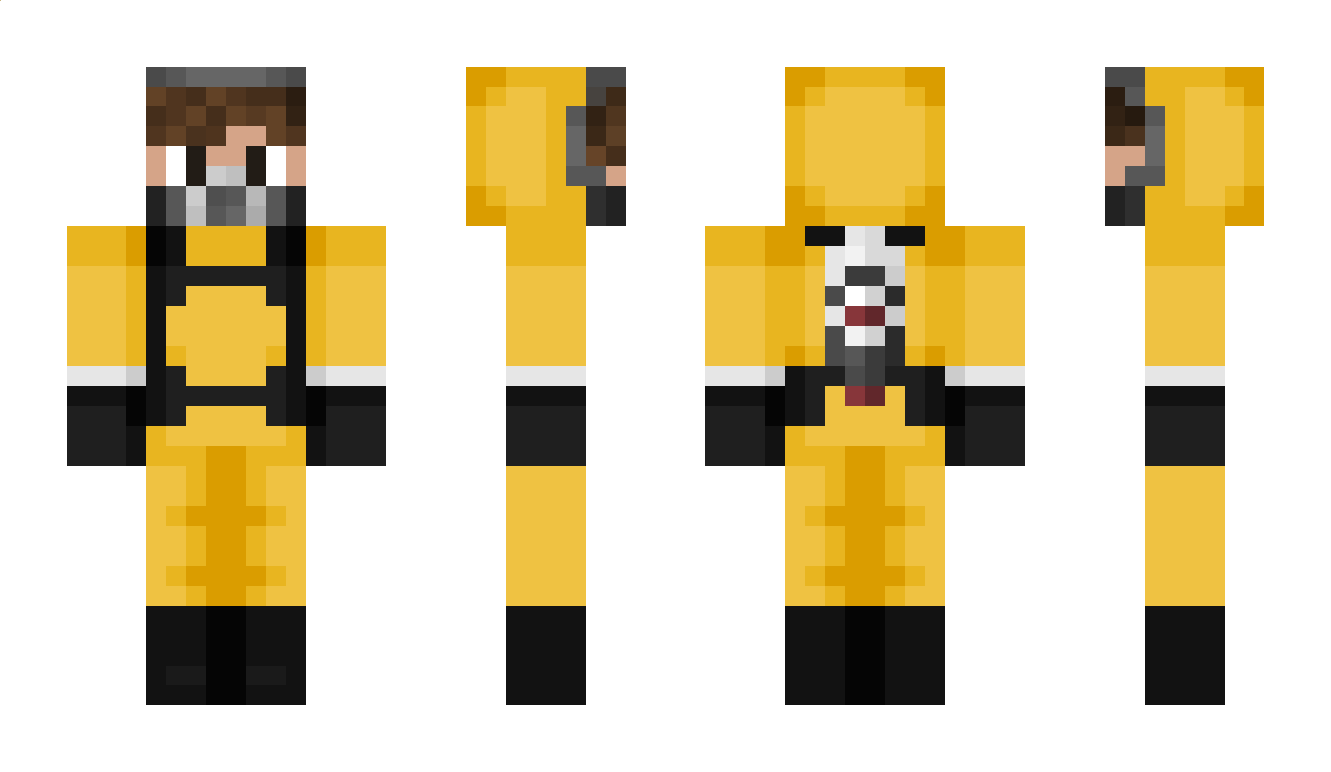 volii_ Minecraft Skin