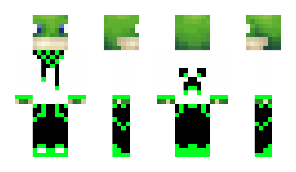 SwagFrog Minecraft Skin