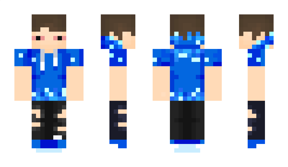 FlyGuyTyler Minecraft Skin