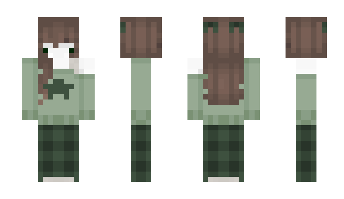 Insp0o Minecraft Skin