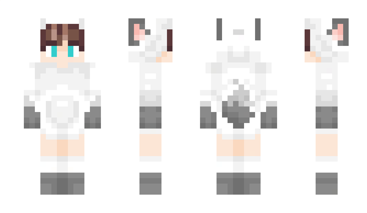 TailsGamer Minecraft Skin