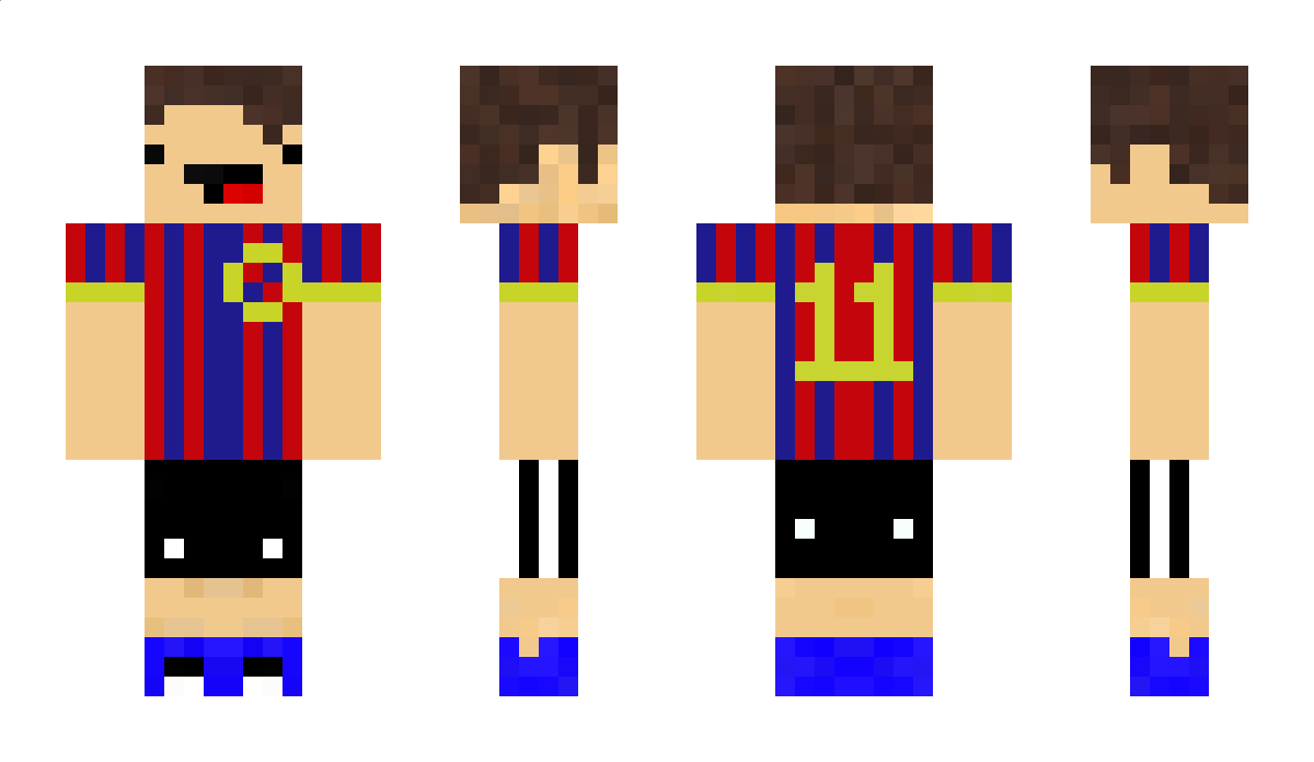 Tricolores Minecraft Skin