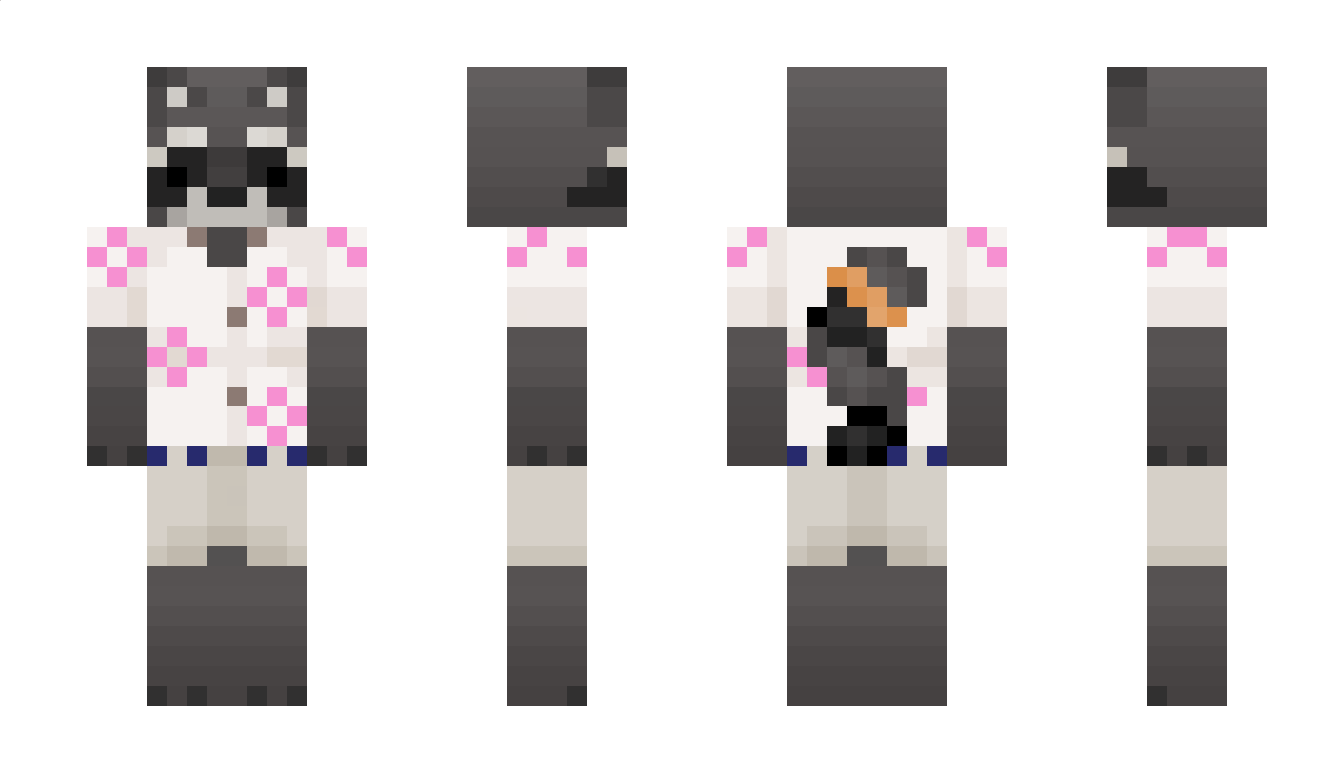 valivaloche Minecraft Skin