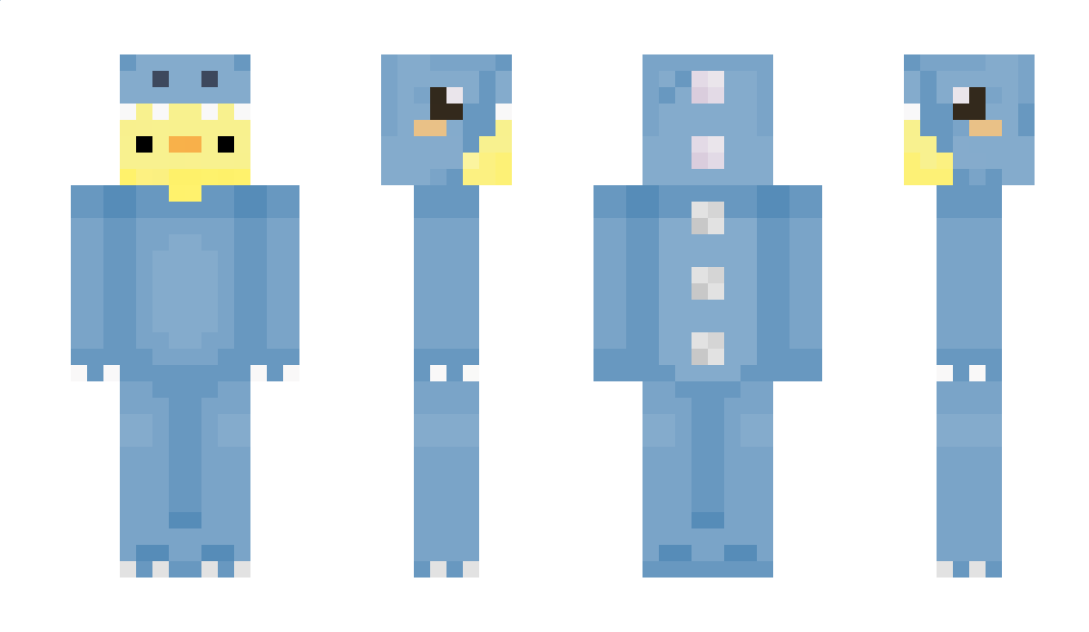 Envixitly Minecraft Skin