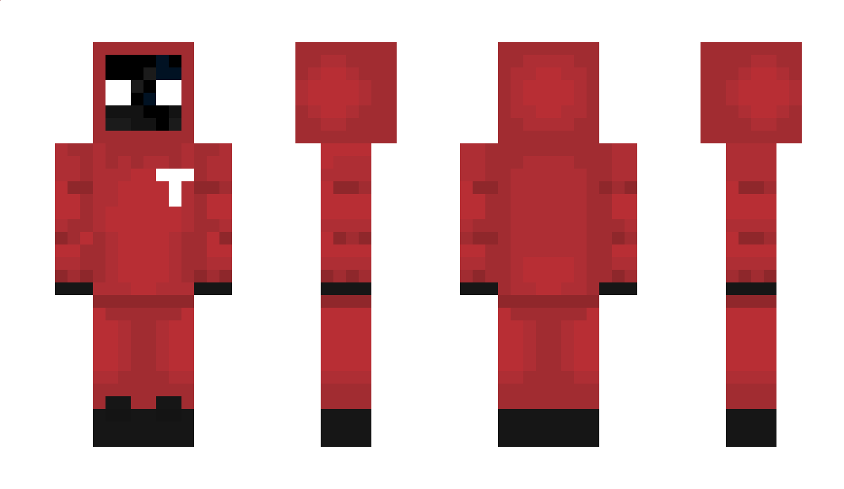 T273 Minecraft Skin