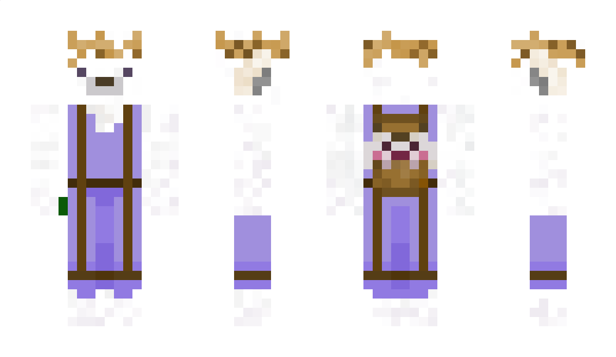 vixlee57 Minecraft Skin