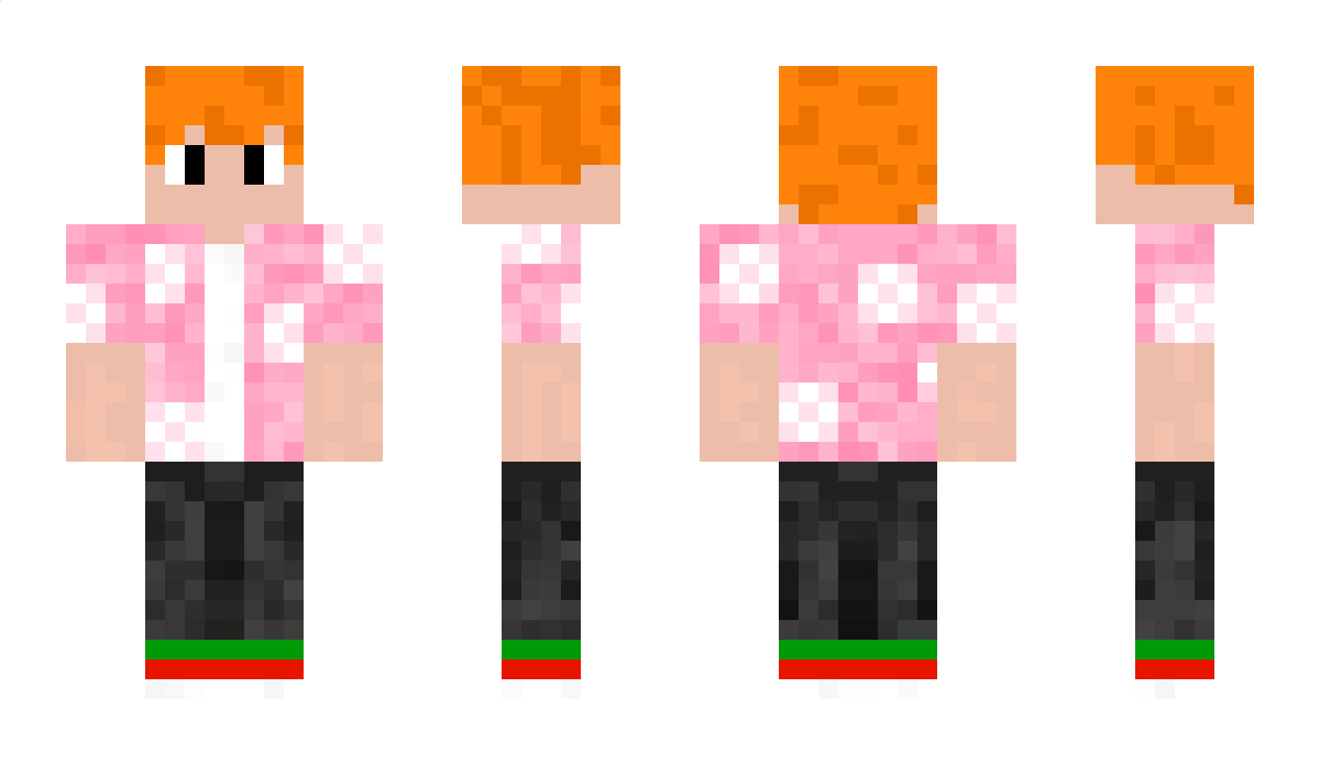 DomiCrafter1311 Minecraft Skin