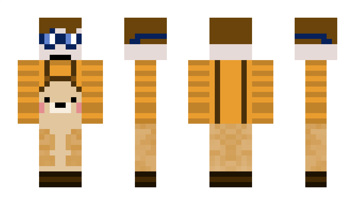 choosw Minecraft Skin