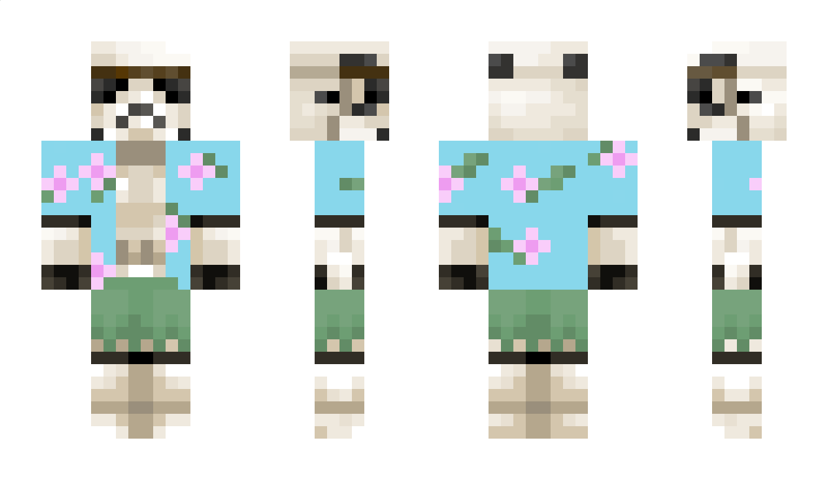 Hidroxifenil Minecraft Skin