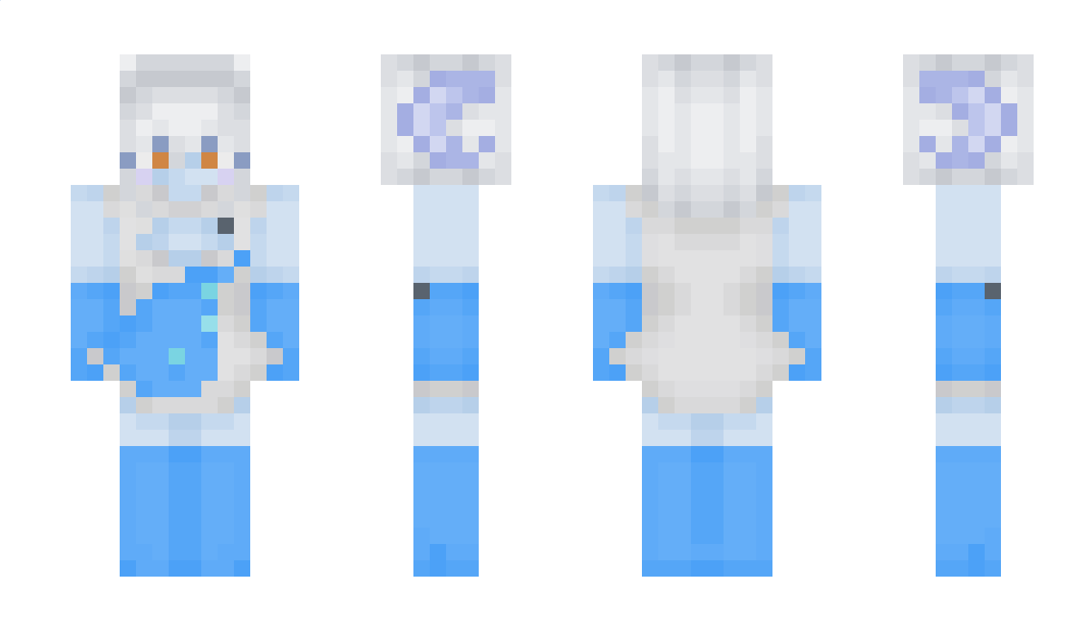 reversedw Minecraft Skin