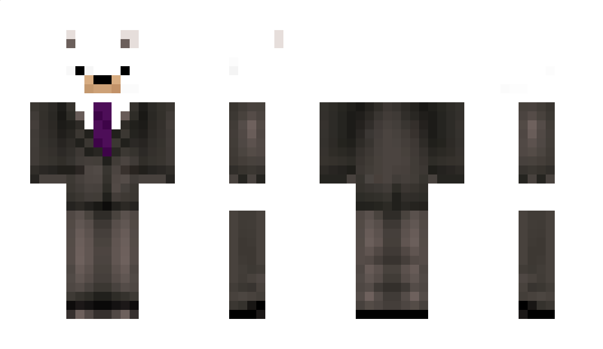 Schlawiner10 Minecraft Skin