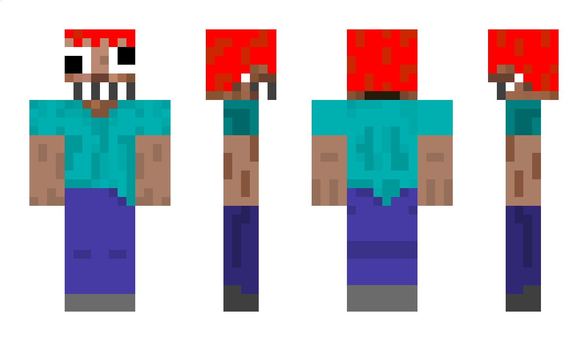 du5t Minecraft Skin