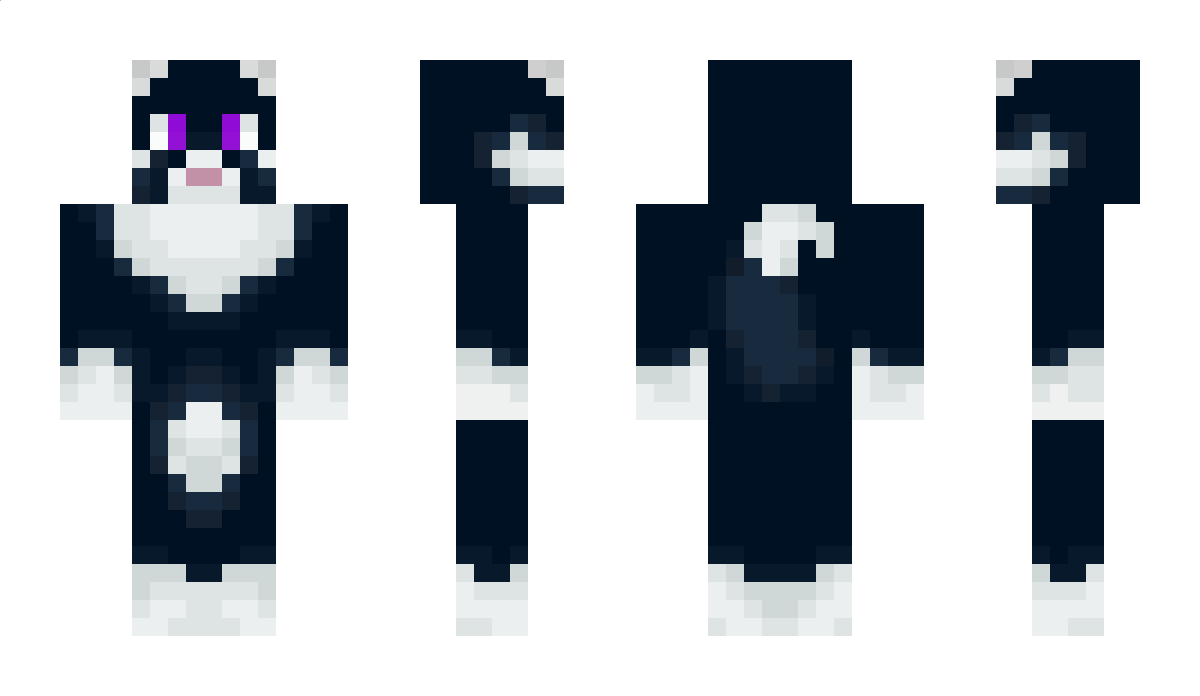 secretninja Minecraft Skin