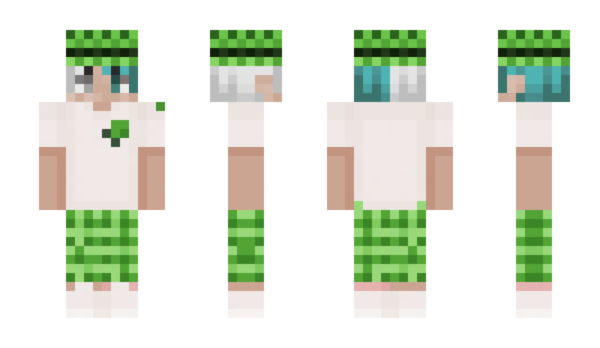 justymc Minecraft Skin