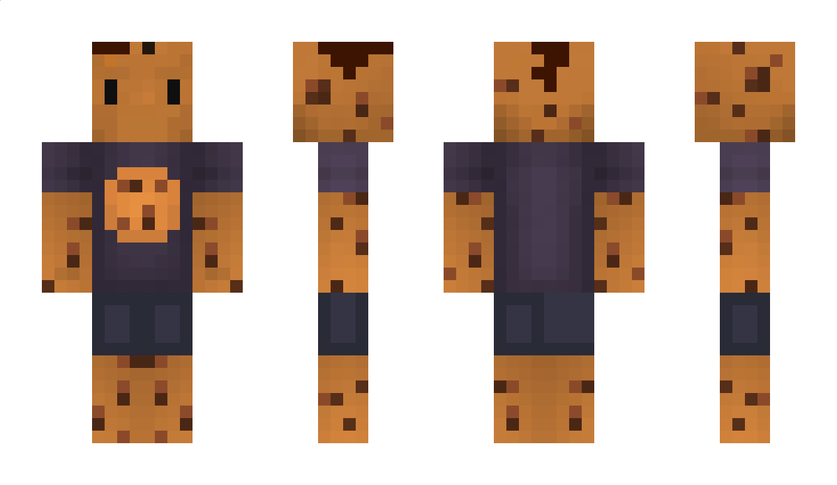 prok1303 Minecraft Skin