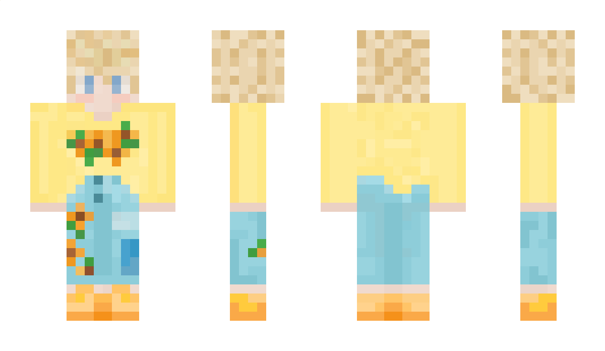 Swashey Minecraft Skin