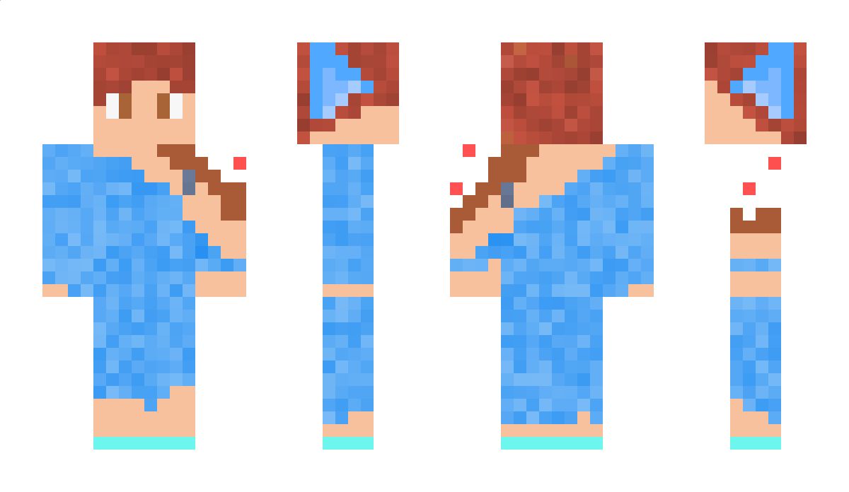 cakecat001 Minecraft Skin