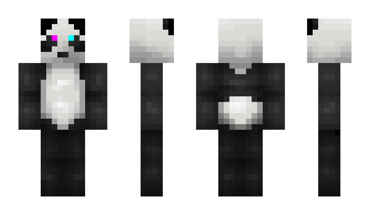 HoolieManJr Minecraft Skin