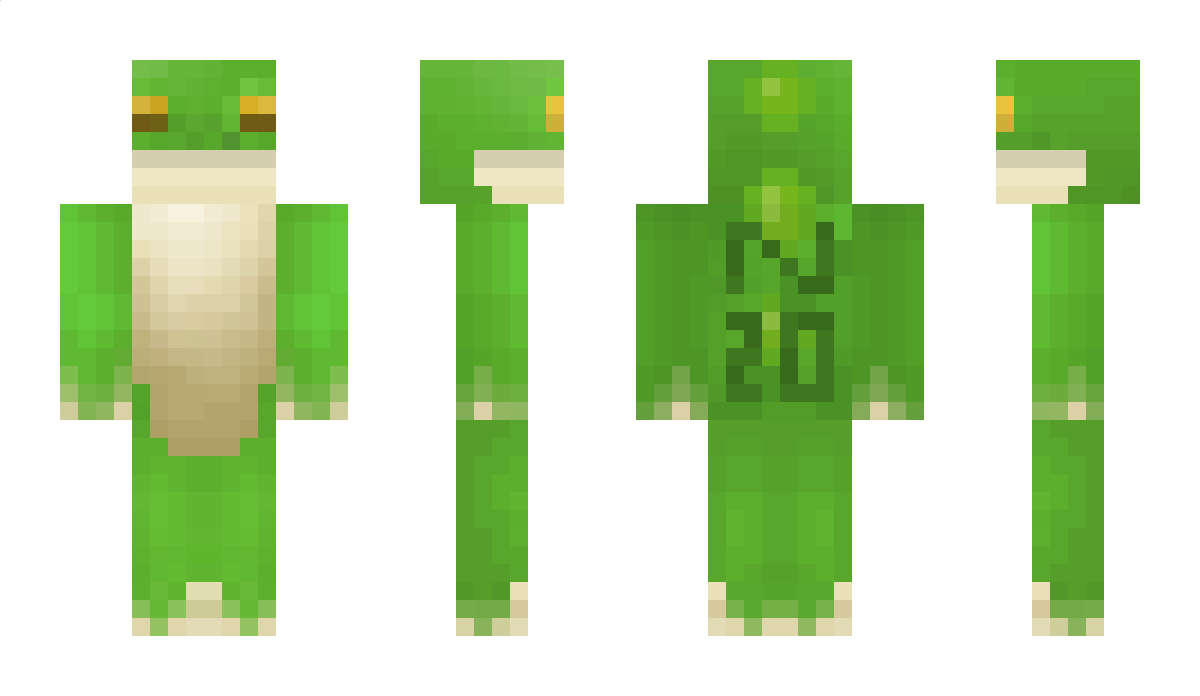 n20 Minecraft Skin