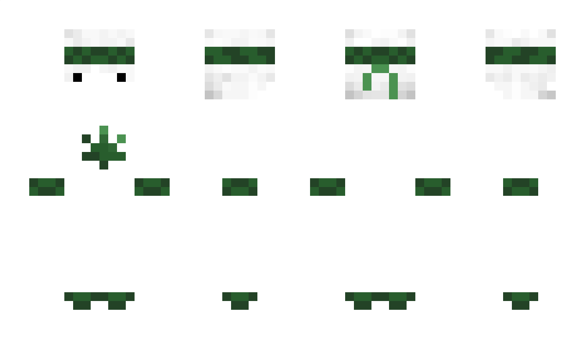 ome5 Minecraft Skin