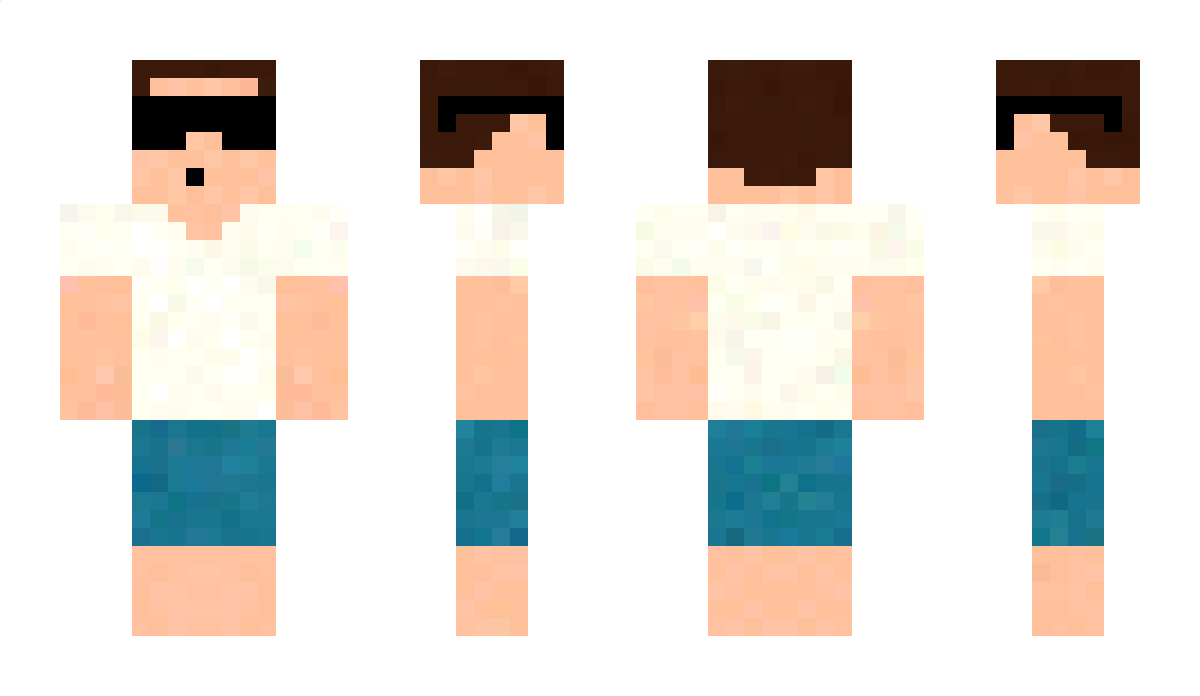 339 Minecraft Skin