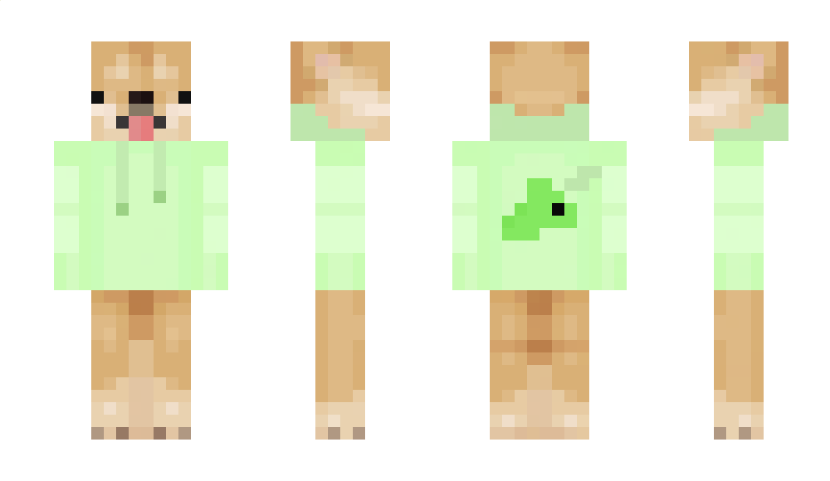 Fefek_ Minecraft Skin