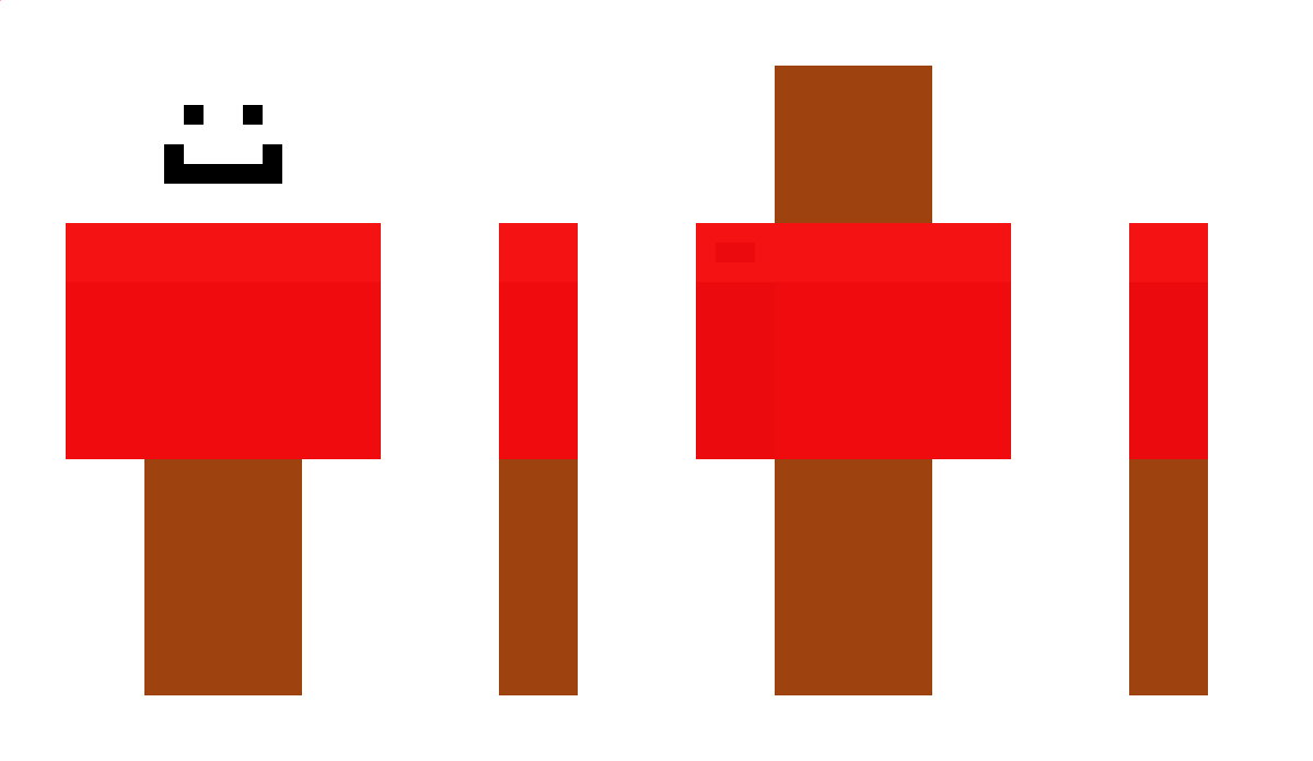 TheHoiMan1234 Minecraft Skin