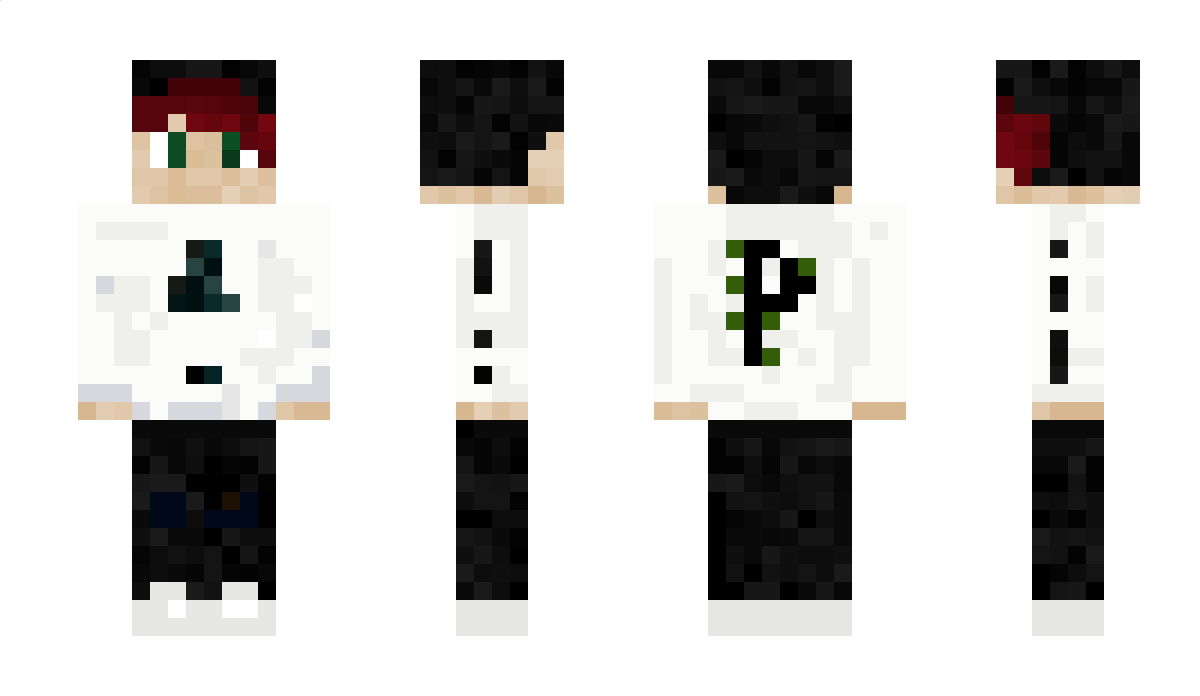 SnoopZ Minecraft Skin