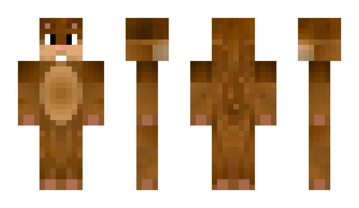 FinBlocster Minecraft Skin