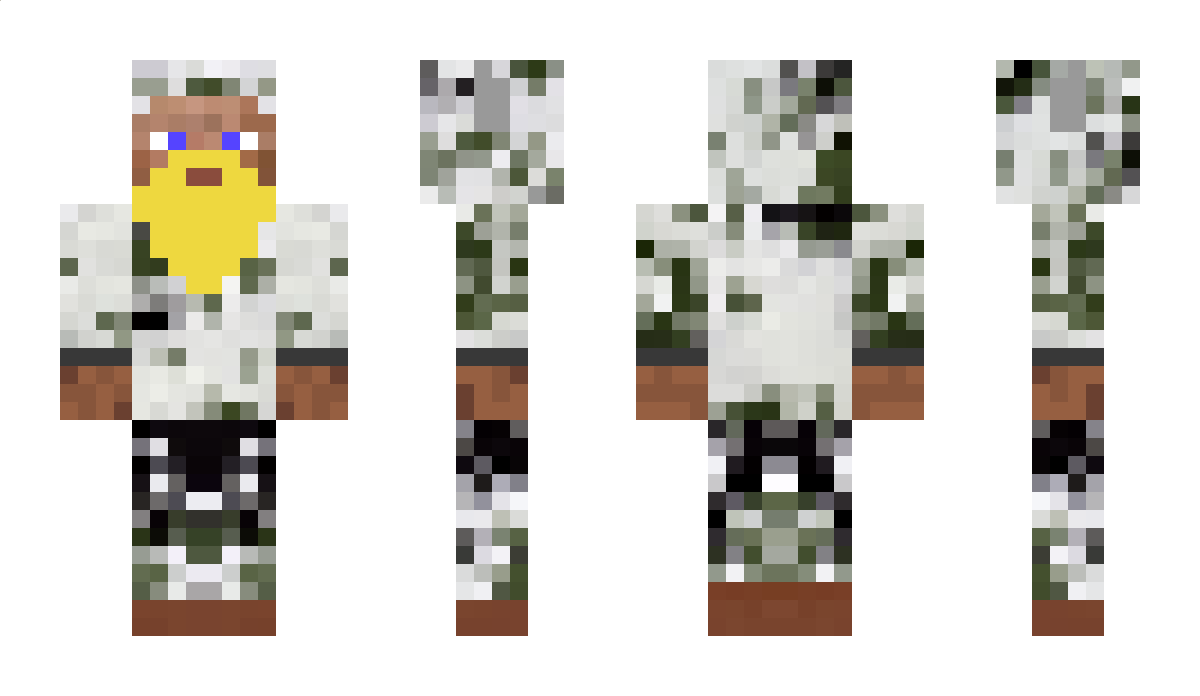 hjd Minecraft Skin